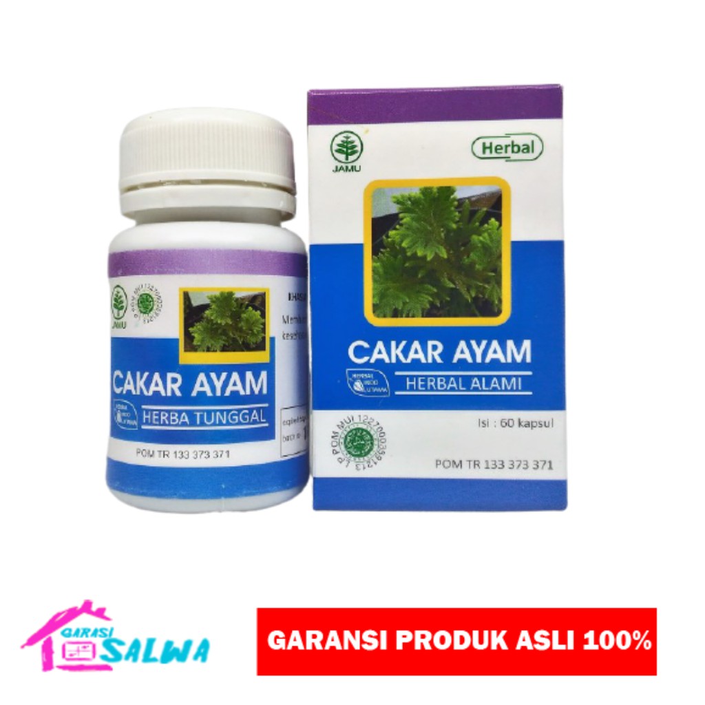 

Kapsul Cakar Ayam HIU Original Atasi Batuk Radang Paru 60 Kapsul Obat Herbal Alami Multi Khasiat