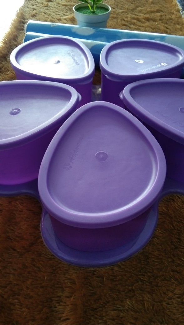 Toples Oval Alamanda Toples Cantik (warna Random)