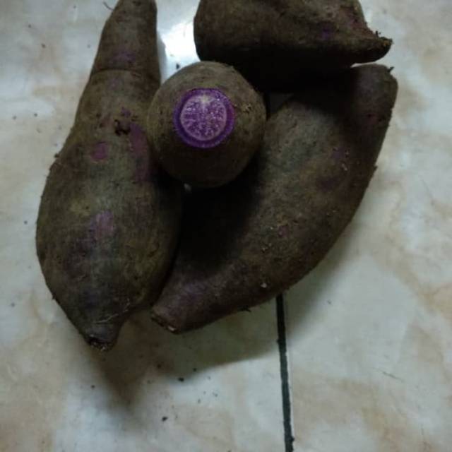 

Ubi ungu