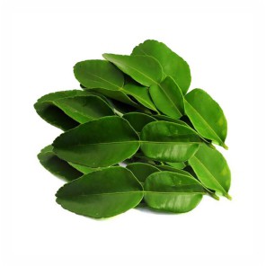 

Daun Jeruk / 50gr #Bumbu #Segar #Online #Bandung #Cimahi