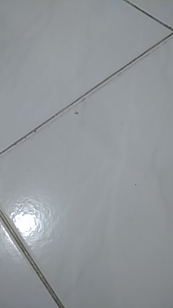 Gorden Blackout Import Bludru Embosh Kombinasi Model Smokering Ukuran Tinggi 230 Cm Lebar 140cm