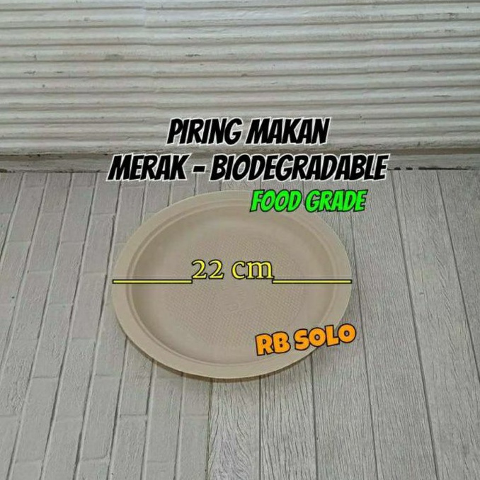 Piring Makan Besar Piring Snack Kertas Biodegradable 10 pcs