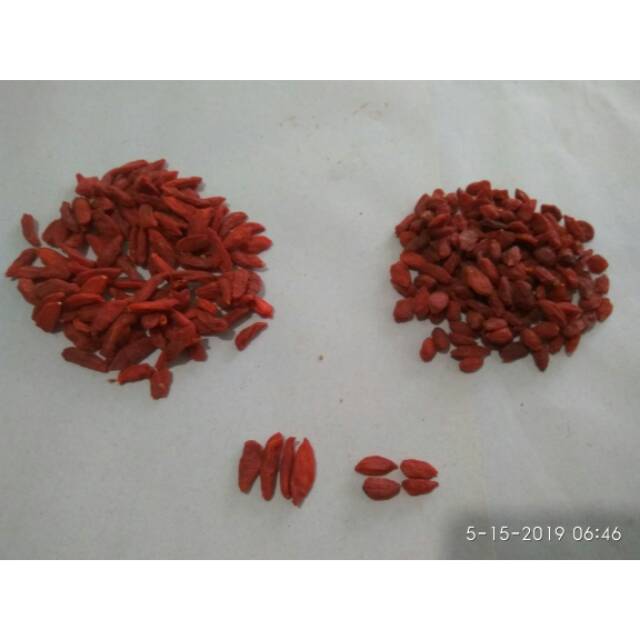 Goji Berry / Kici 100gr Repack / Eceran