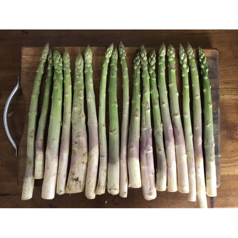 

Asparagus