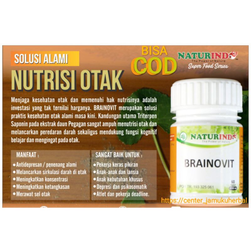 HERBAL NATURINDO NUTRISI OTAK.VITAMIN SYARAF OTAK BRAINOVIT HERBAL