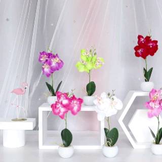 COOGER Bunga Anggrek  Artifisial Orchid Artificial Pot  