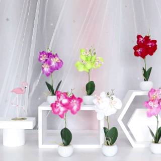 COOGER Bunga Anggrek Artifisial Orchid Artificial Pot COOGER Bunga Anggrek Artifisial Orchid Artificial Pot