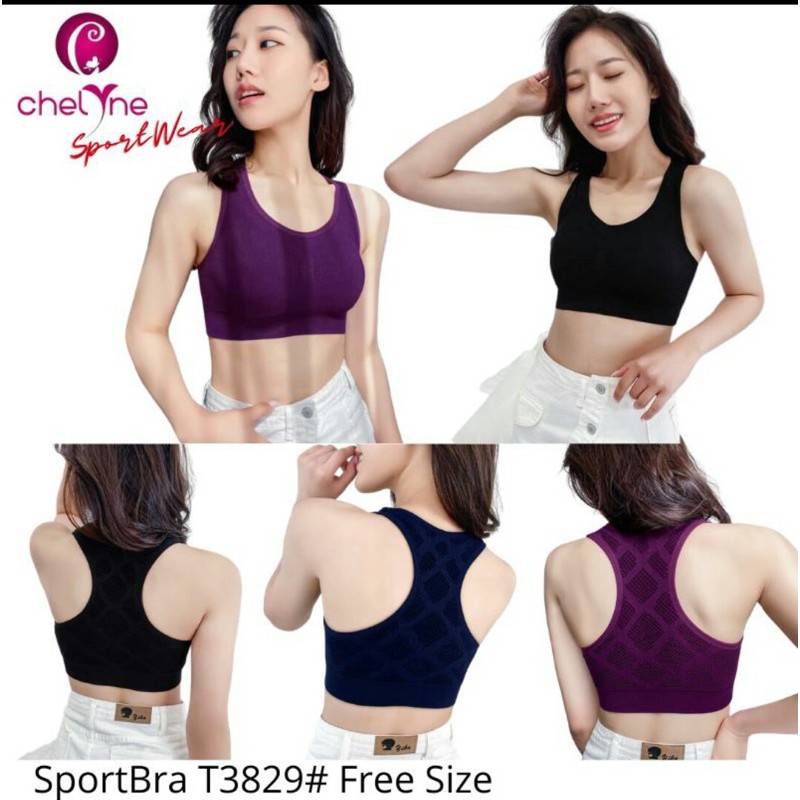 

sportbrawanita