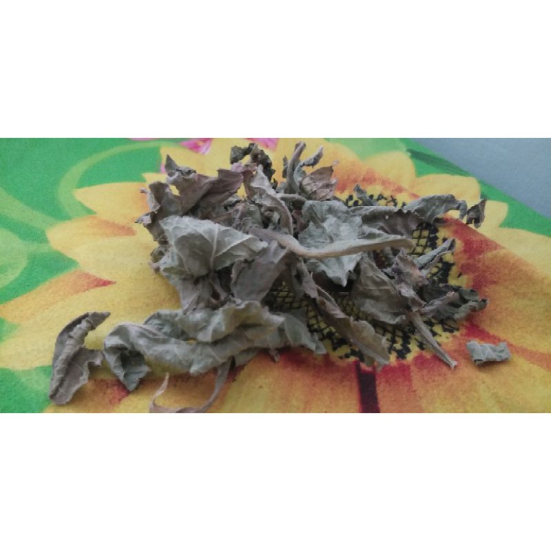 

daun tapak liman /daun nya saja tanpa akar 100 gr