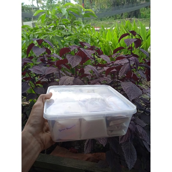 

paket 1 usaha es boba