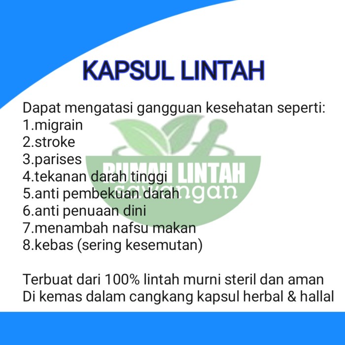 OBAT HERBAL ALAMI KAPSUL LINTAH 10 KAPSUL LINTAH KERING BERKHASIAT TERMURAH