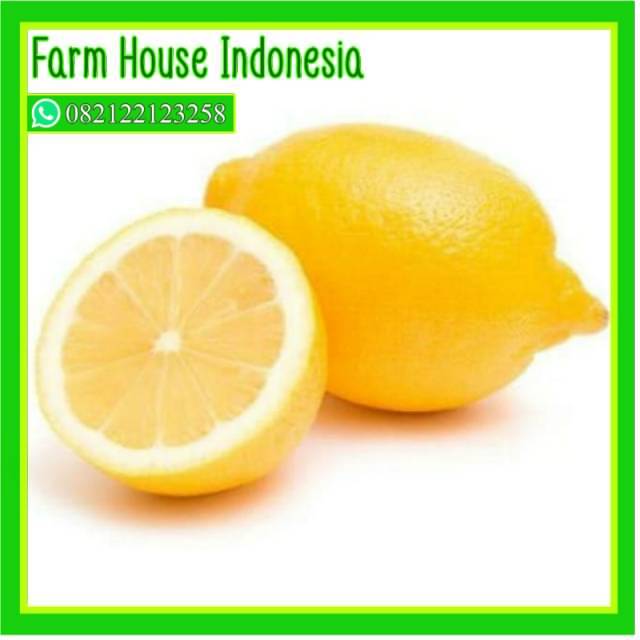 

SayurHD lemon import 500 gram