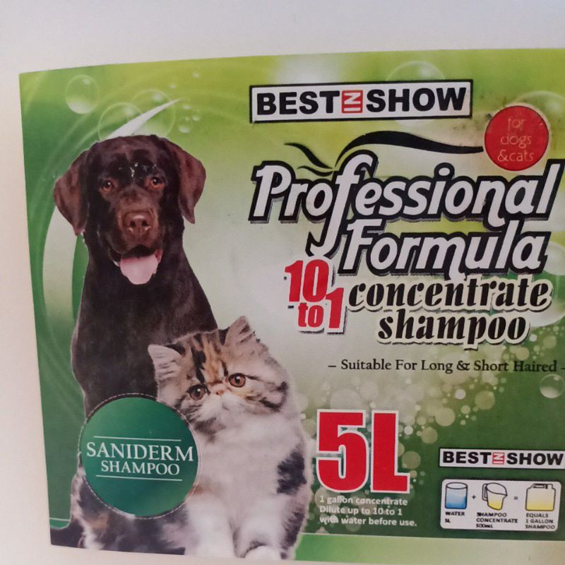 shampoo medicinal jamur kucing best in show BIS 100ml