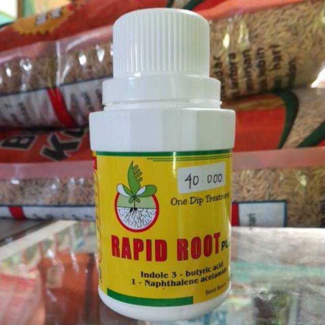 Rapid root plus