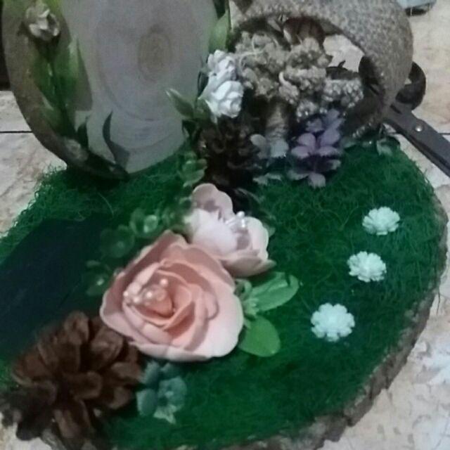 Ringbox Terarrium Box Woodslice