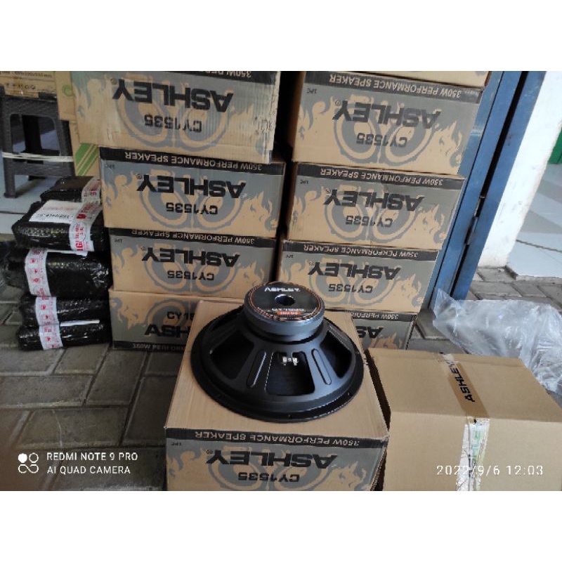 Speaker 15 inch Ashley CY1535 350Watt Mid Low