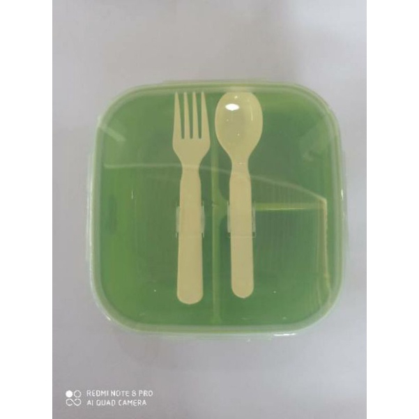 Tempat nasi kotak golden sunkist