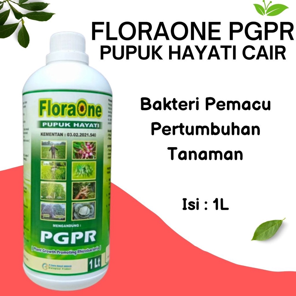 Pupuk Semangka Agar Cepat Berbuah Besar, Pupuk PGPR, Pupuk Untuk Segala Jenis Tanaman, Pupuk Hayati 
