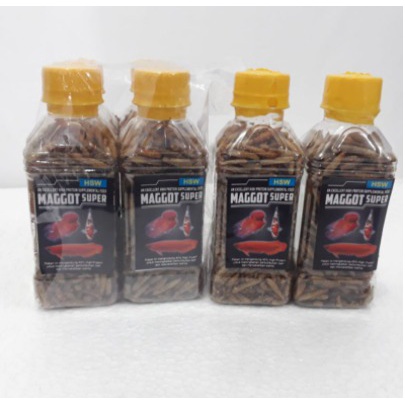 MAGGOT SUPER HSW 100gr, MAGOT PAKAN IKAN ARWANA / AROWANA , CHANNA , LOUHAN DAN POREDATOR LAINYA