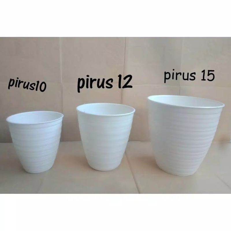 Pot Pirus Tirus Tinggi Diameter 15 cm Pot Pirus 12 cm Pot Pirus 10 cm Pot Bunga Pirus Tirus Termurah