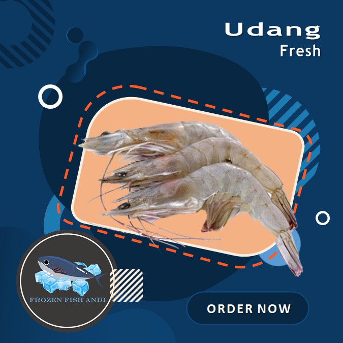 

Udang vanami besar isi 50 ekor