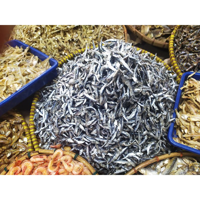

Ikan Tamban Kecil