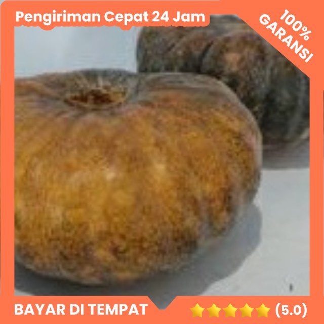 

Waluh Labu Kuning 1,3-2,2 kg Labu Parang Waloh untuk Kolak