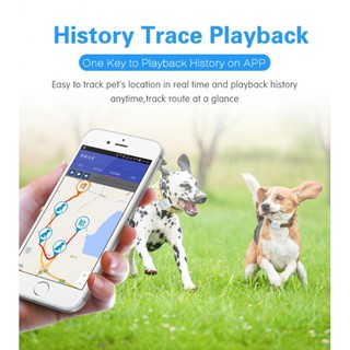 Kalung Anjing Kucing GPS-G02 GPS Monitor Tracker Pet GSM GPRS Tracking