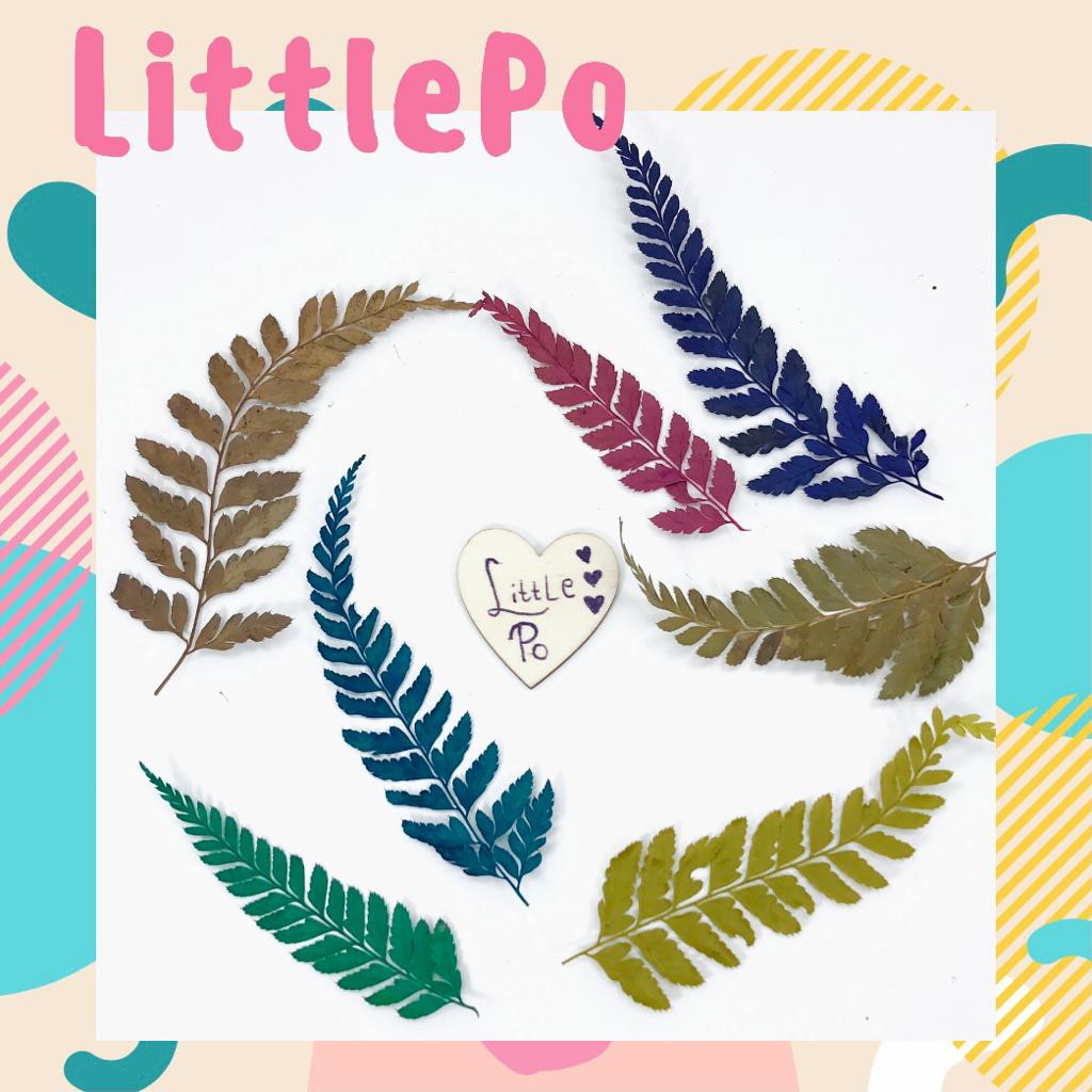 Daun Pakis Kering Daun Kering Daun Paku Kering Daun Kering Dekorasi Rustik POTONGAN (8-12 helai)