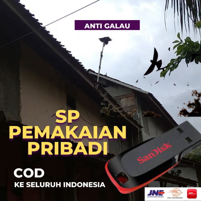 PAKET SUARA WALET PANGGIL + INAP | SUARA WALET SUPER RESPON DAN TERBUKTI | SUARA PANGGIL BURUNG WALET | SP WALET TERBAIK