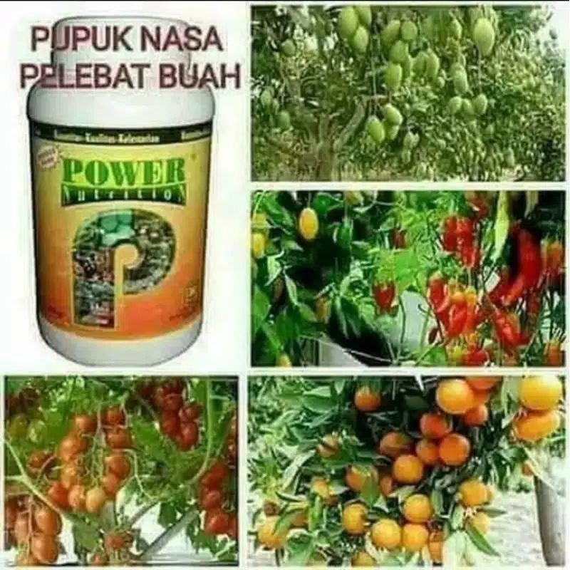 Pupuk POWER NUTRITION NASA Isi 250 gram Pupuk Organik Untuk Pelebat buah