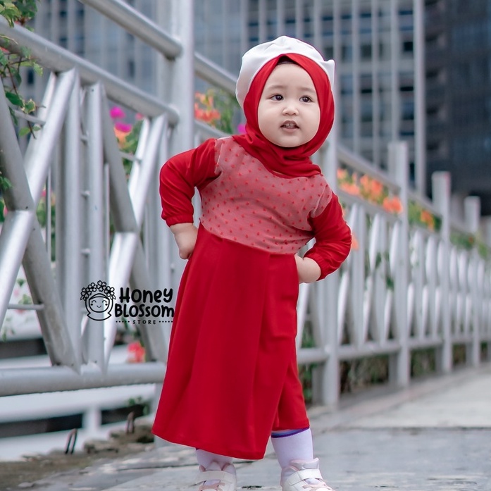 HONEYBLOSSOM gamis bayi perempuan polos / gamis bayi perempuan 6 12 bulan alesha