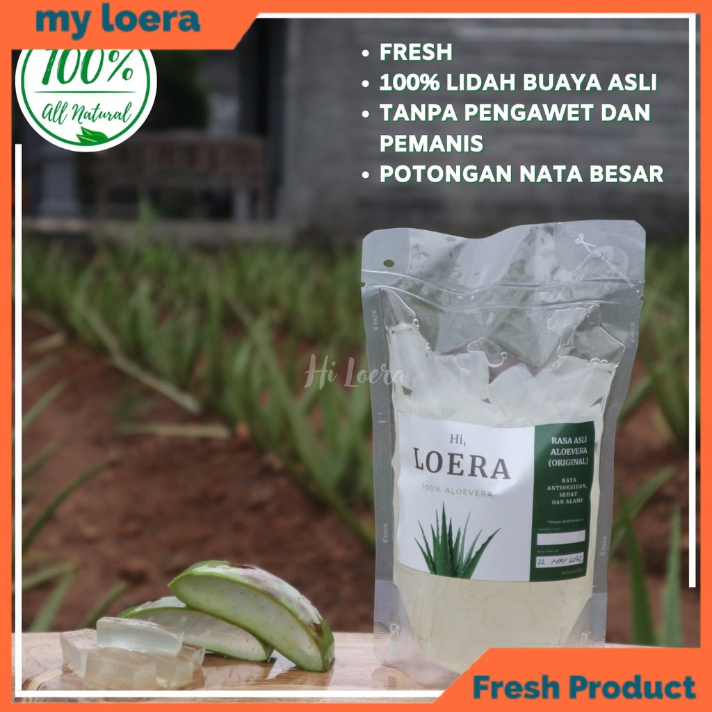 

myloera Nata de Aloevera Aloe Vera Lidah Buaya Kupas Tanpa Pengawet dan Pemanis Obat Herbal Alami Atasi Masalah Asam Lambung Maag GERD Susah BAB Sembelit 250 gram Standing Pouch