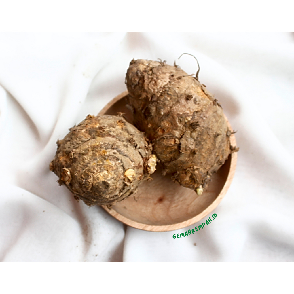 

Temulawak 1kg
