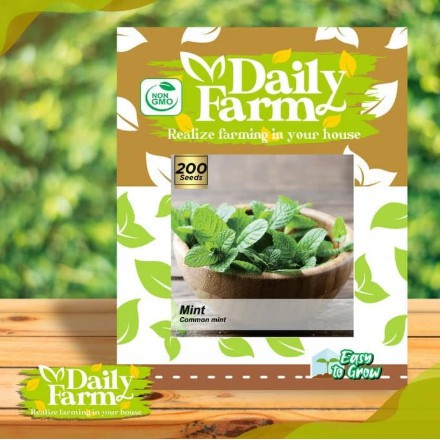 

Terlari> Benih Bibit Daun Mint Common Mint