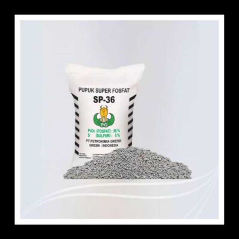 Pupuk TSP/SP 36