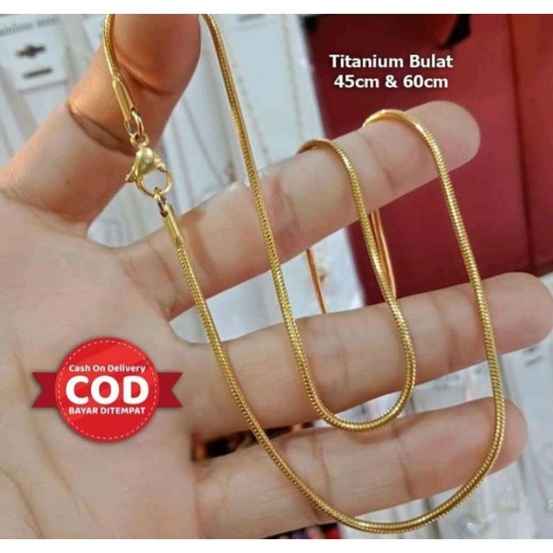 Kalung Titanium Pria Dan Wanita Original Model Tulang Belut