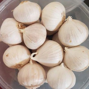 

Bawang Putih Tunggal 100Gr / Bawang Putih Lanang / Bawang Putih Obat Herbal