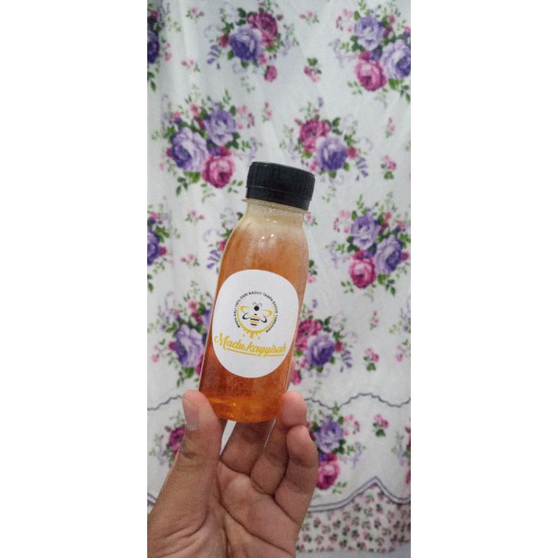

madu lebah liar
