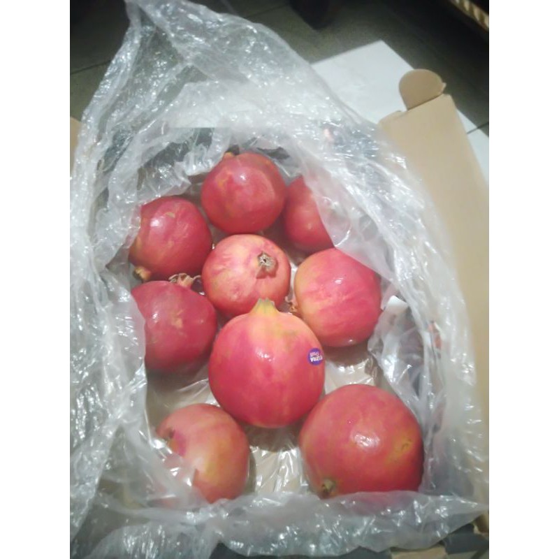 

Delima Import / Box / isi 7-9 buah