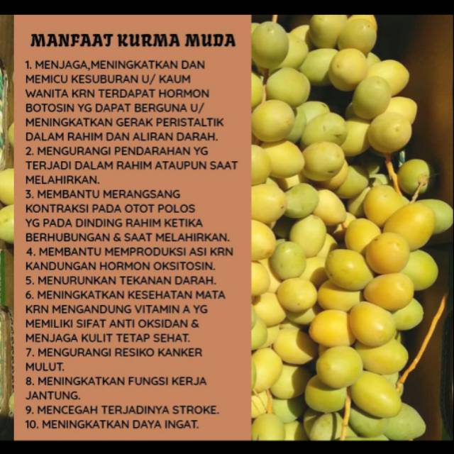 

Ruthob Barhee/kurma muda