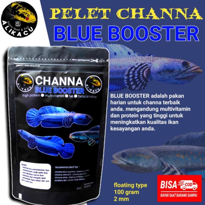 Channa Blue Booster | Pelet Ikan Channa Blue Pulchra Blue Orna Blue Orcha Andrao | Makanan Ikan
