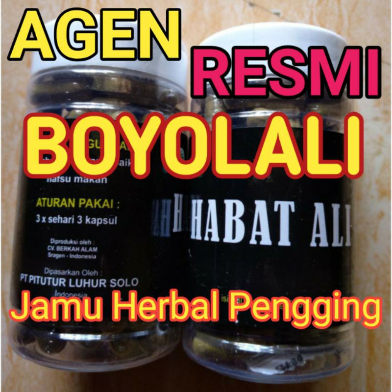 

AGEN HABAT ALI BOYOLALI