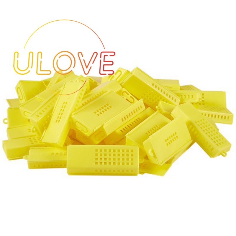 Kurungan Ratu Lebah Beekeeping Beekeeper Warna Kuning Model Tarik Ori Kuning Kandang Lebah Madu