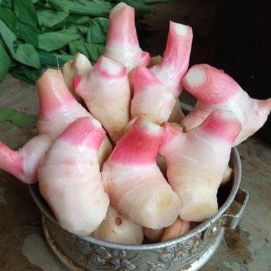 

Lengkuas Laos Laja Merah segar 500gr