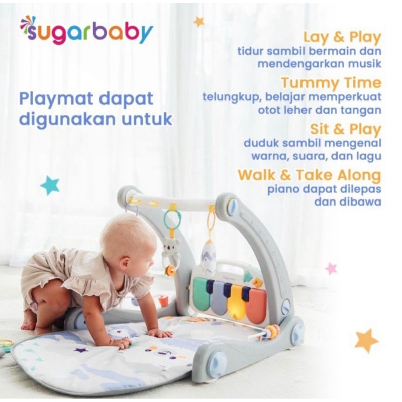 sugarbaby 2 in 1 walker &amp; playmate