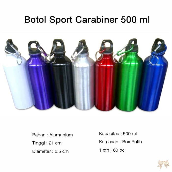 Download Steel Sport Bottle With Carabiner : Blue And Red And Grey Stainless Steel Sports Bottle With ...
