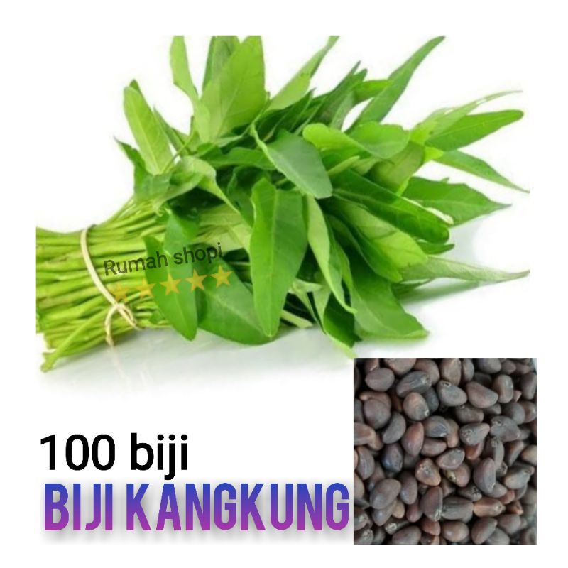 Benih kangkung Bibit Kangkung biji kangkung isi 100 biji Sayuran hidroponik tanaman hidroponik