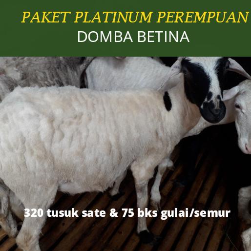 

paket catering aqiqah perempuan kambing/domba ---Termurah---