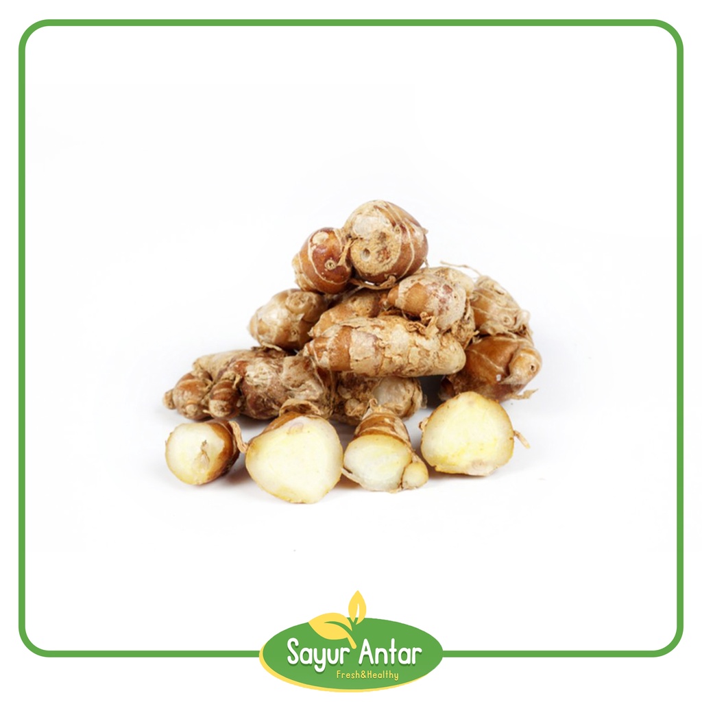 

Kencur 100 gr | Sayur.Antar | Free Ongkir Bandung Cimahi